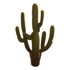 Cinematic Realistic Desert Emoji in a frame, Expansive and arid, with vast stretches of golden sand dunes and scattered cacti, the sun casting a warm, almost orange glow over the dry, cracked earth. The horizon blurs into a heat shimmer, while the occasional desert flower adds a splash of color to the barren landscape. Soft glowing outline, capturing the essence of the harsh yet stunning beauty of the desert, calm and quiet, filled with silence and mystery. sticker