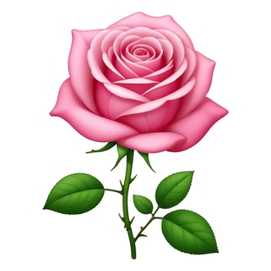 Icone fusée, details de la couleur pink sticker