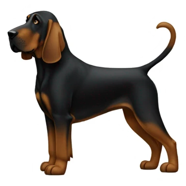 Black bloodhound standing  sticker