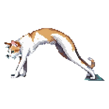 cat in downward dog yoga pose, triangle pose with raised hips sticker
