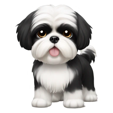 Black and white shih tzu with beige eyebrows sticker