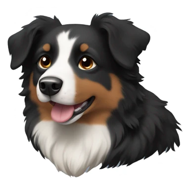 Small black australian shepherd dog with brown muzzle sticker