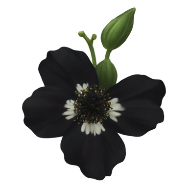  semi real Black flower sticker