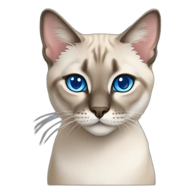 lynx-point-siamese-cat-blue-eyes sticker