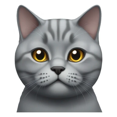 Big gray British shorthair cat  sticker