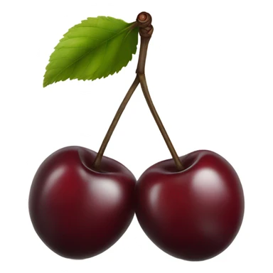 two burgundy cherries on black stem sticker