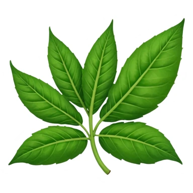 Tobacco leaves with word Tara sticker