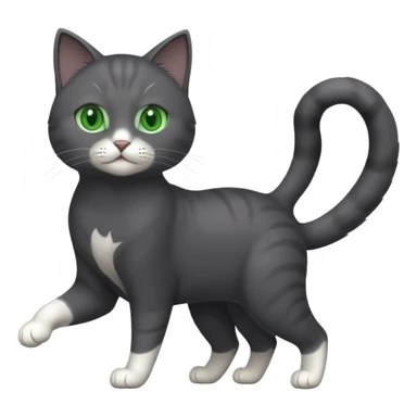 full body gorgeous solid dark grey cat with green eyes, white paws and white whiskers playing sticker
