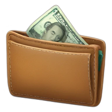 empty wallet with fly sticker