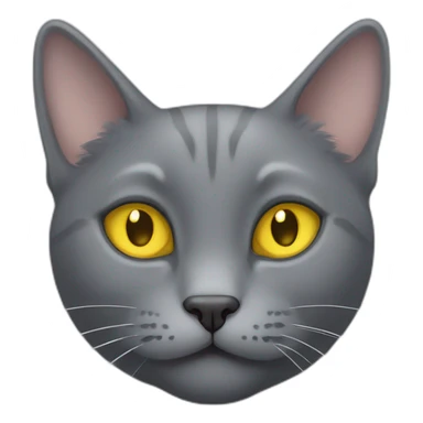 korat grey cat head little fluffy and cute smile with yellow eyes and black public sticker