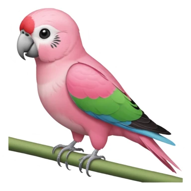 A bourkes parakeet sticker