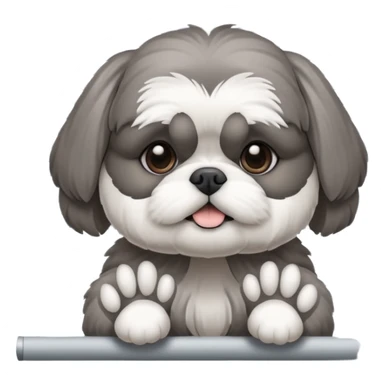 cute all grey shih tzu peeking through window blinds with one paw holding down the shade behind the shade sticker
