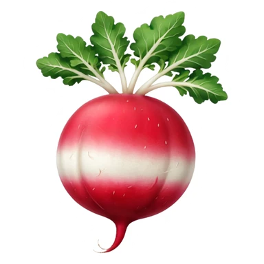 radish UK plant with a bit of white on the bottom of the radish sticker