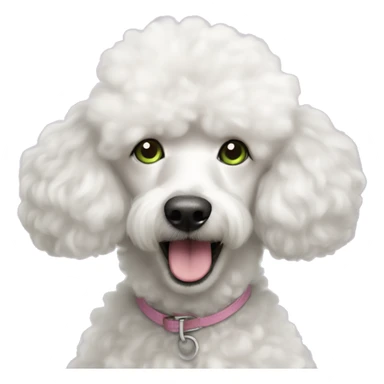 White fluffy poodle with greenish eyes and pink nose sticker
