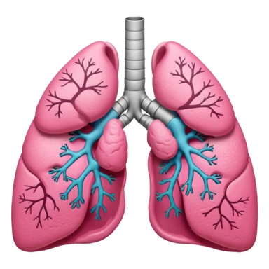 lungs sticker