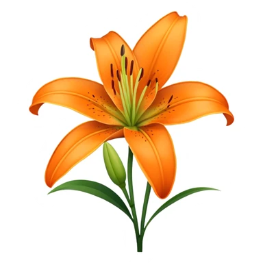 single Lily Asiatic, straight stem sticker