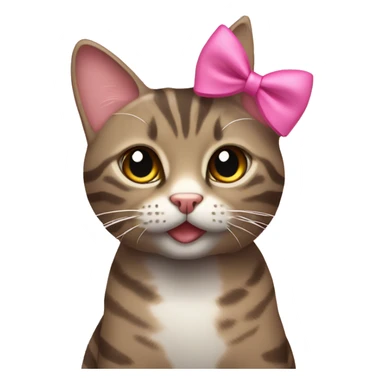 Brownish-gray tabby cat with pink bow sticker