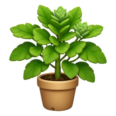 elephant bush plant sticker