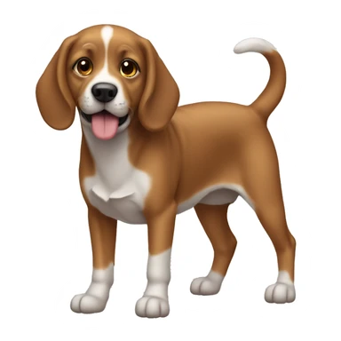siindir şapkaı köpek balığı sticker
