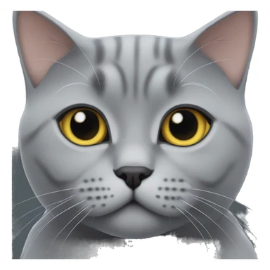 A grey british shorthair cat named Pisaa sticker