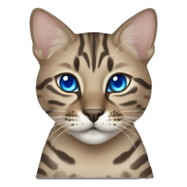 Dark beige/grey Bengal cat with blue eyes sticker