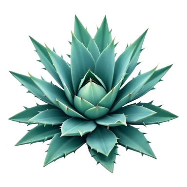 Cinematic Realistic Agave Emoji, Bold and spiky, with long, pointed leaves forming a rosette pattern. The sharp edges and soft blue-green hue exude a sense of rugged beauty and desert resilience. Soft glowing outline, capturing the essence of survival and strength in a striking agave plant! sticker