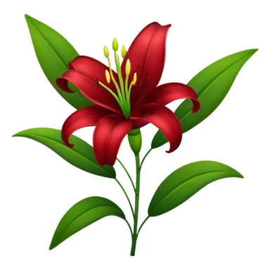 A lily flower in a dark cherry red colour with a stem sticker