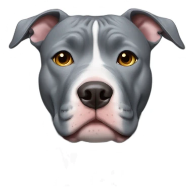 Blue nose grey pitbull with no ears sticker