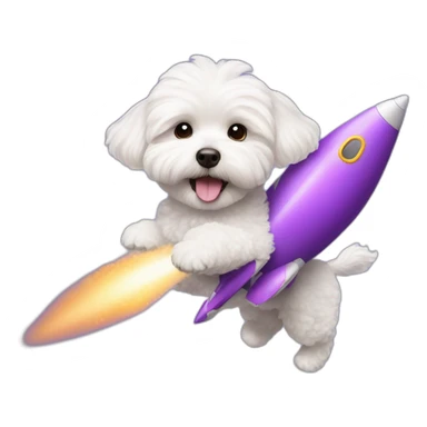 a white maltipoo flying with a purple rocket sticker