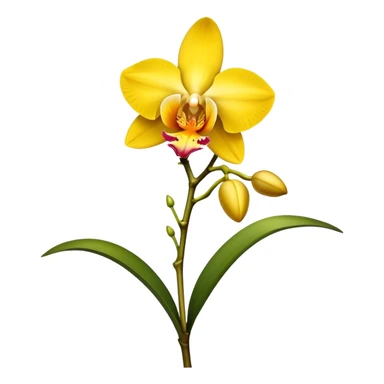 single yellow Dendrobium Orchid flower, stem sticker