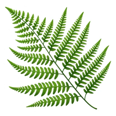 Fern leave sticker