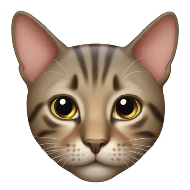cat invite you sticker