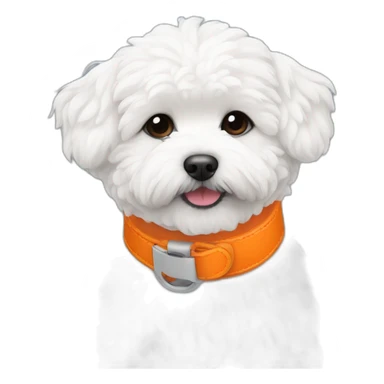 white maltipoo enjoying in the snow with orange collar sticker