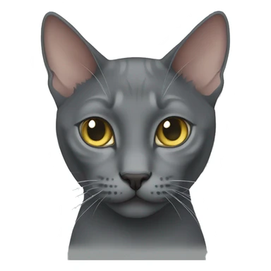 Korat cat sticker