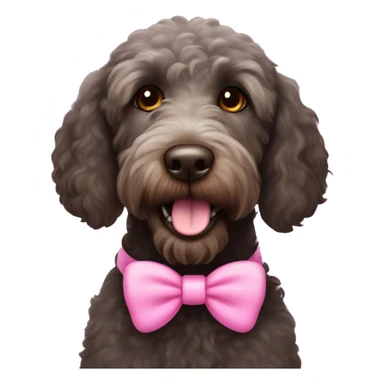 Black labradoodle female dog brown eyes with pink bows on her ears and pink collar on with the name Bonnie sticker