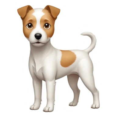 a full body white parson russell looking dog the size of a kelpie with light brown ears and a light brown patch on one eye and a large snout sticker