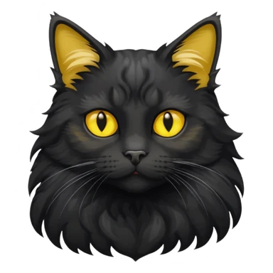 maincoon black cat with yellow eyes sticker
