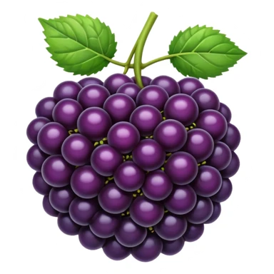 blackberry sticker