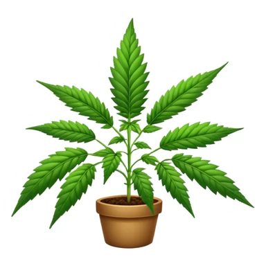 Marijuana plant sticker