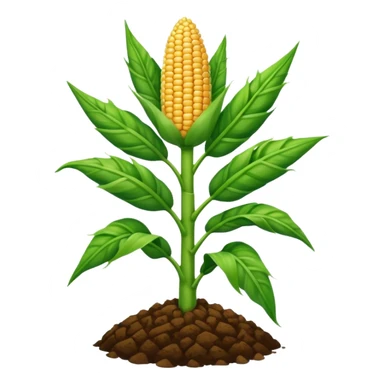 Cây bắp mọc trên đất sticker