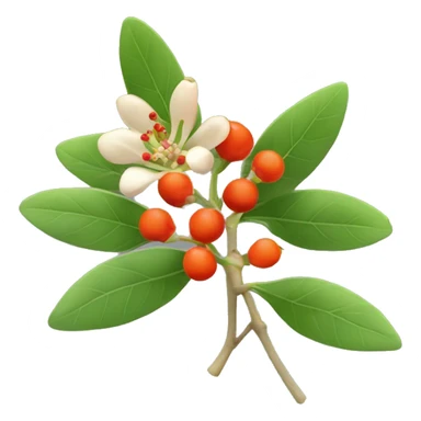 ashwagandha flowers with orange-red berries sticker
