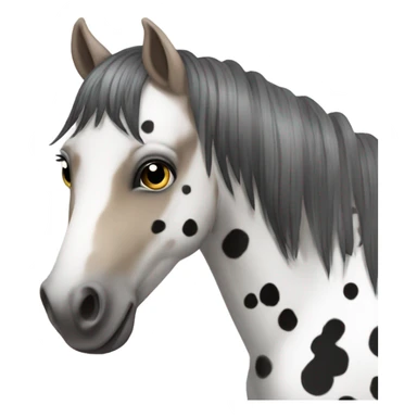 Appaloosa pony  sticker