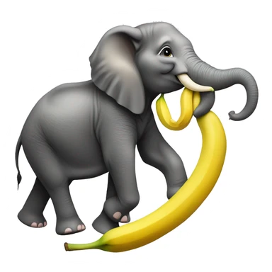Girl riding an elephant eating a banana and the elephant trunk is trying to get the banana  sticker