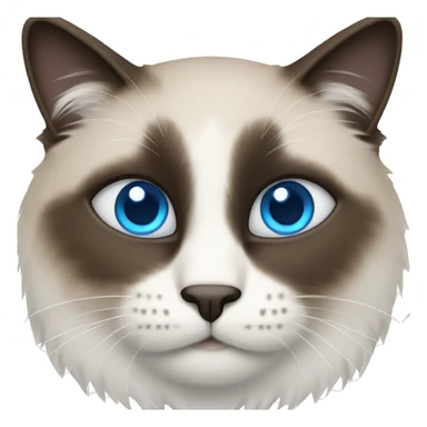 snowshoe cat with blue eyes sticker