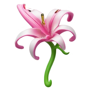 hair claw/clip with pink lily ( accessory)  sticker