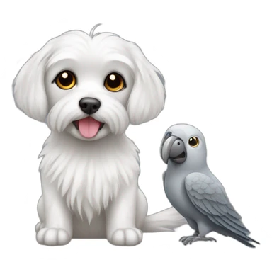Maltese dog and gray parrot sticker