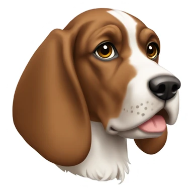 Bracco Italiano  sticker
