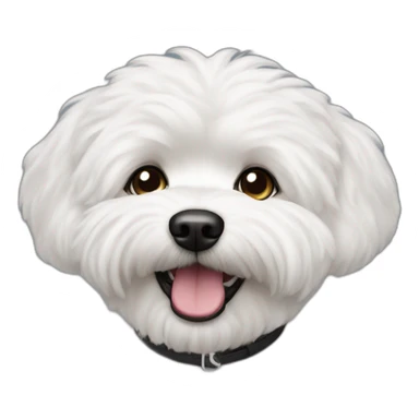Black-bichon-havanais-white-mouth sticker