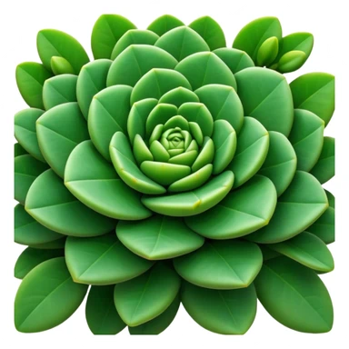 Cinematic Realistic Crassula Emoji, Compact and vibrant, with small, fleshy leaves arranged in thick, rounded clusters. The deep green hue of the leaves radiates calm, while their structured growth speaks of endurance. Soft glowing outline, capturing the essence of perseverance and tranquility in a crassula plant! sticker