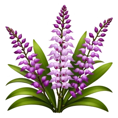 super big bouquet Rhynchostylis Orchid, stem, leaf sticker